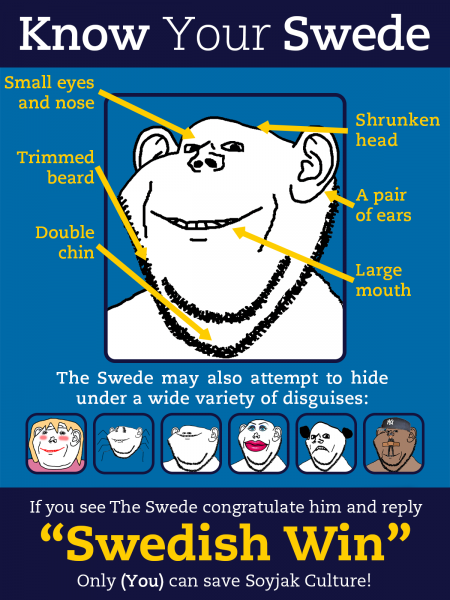 File:AccurateKnowYourSwede.png